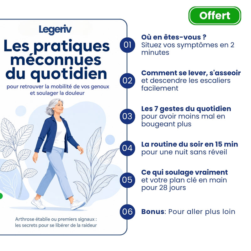 Pack Découverte