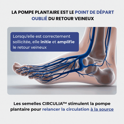 Semelles CIRCULIA™ - Jambes Légères